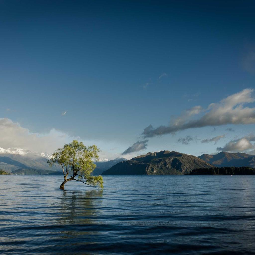 Baking - professional stock photography
