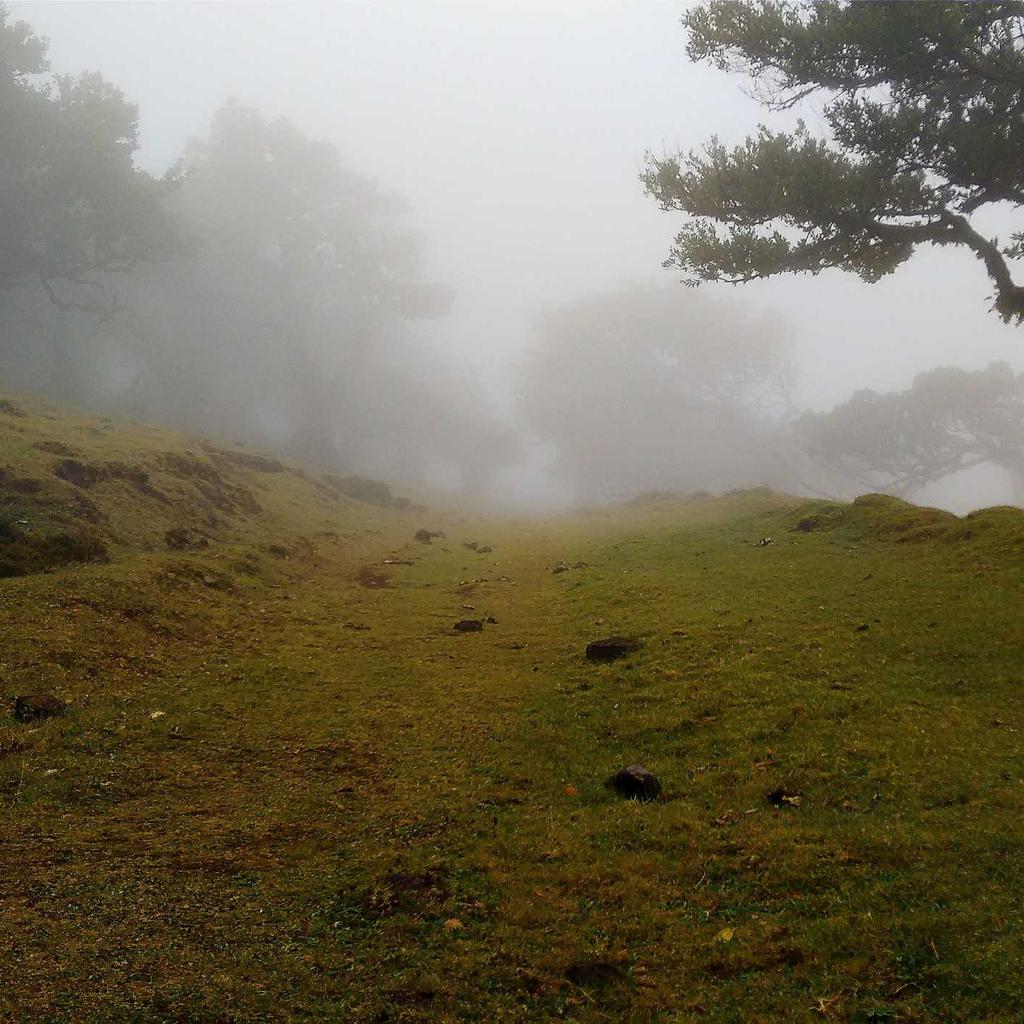 Baking - professional stock photography