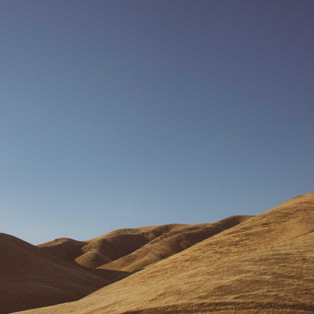 Baking - professional stock photography