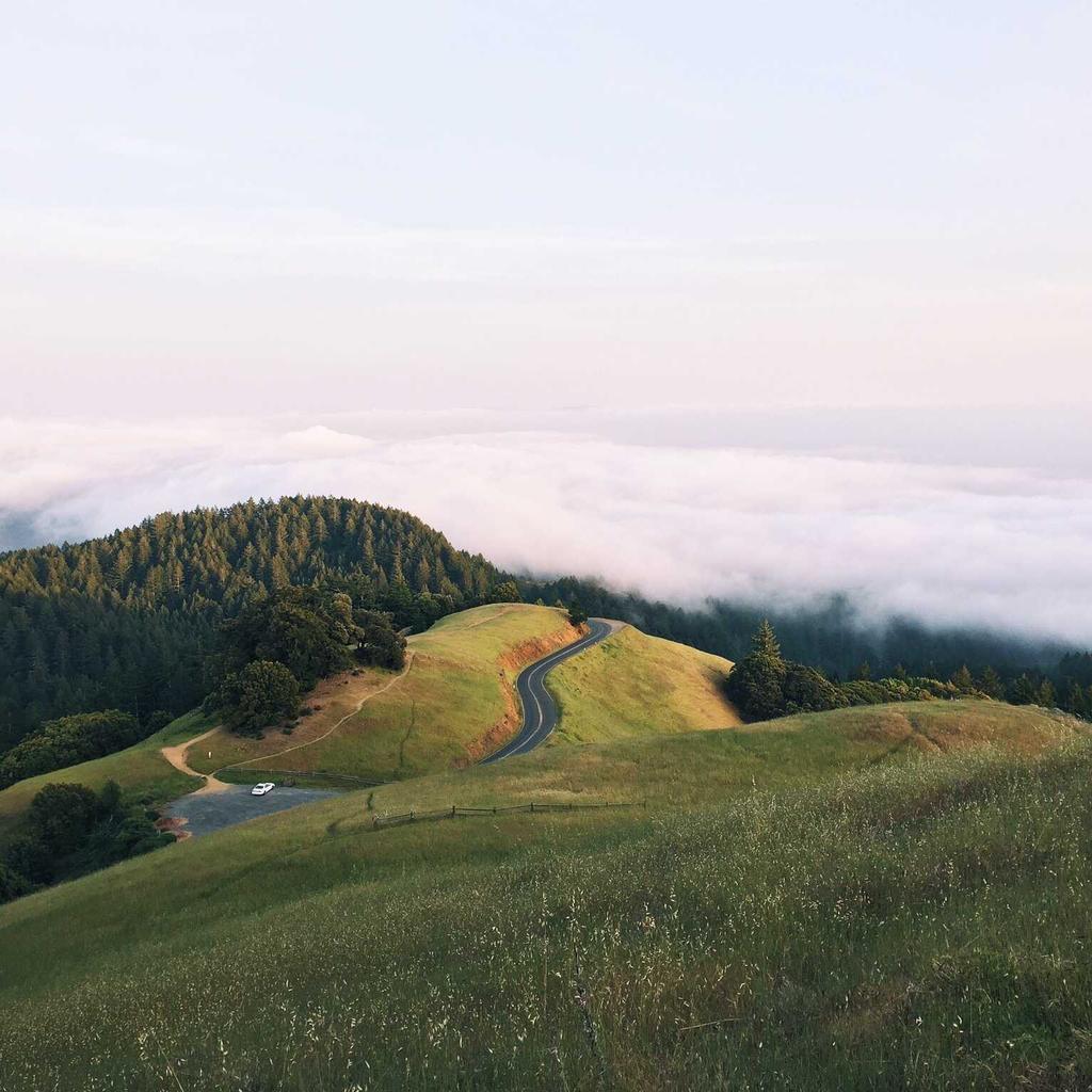 Baking - professional stock photography