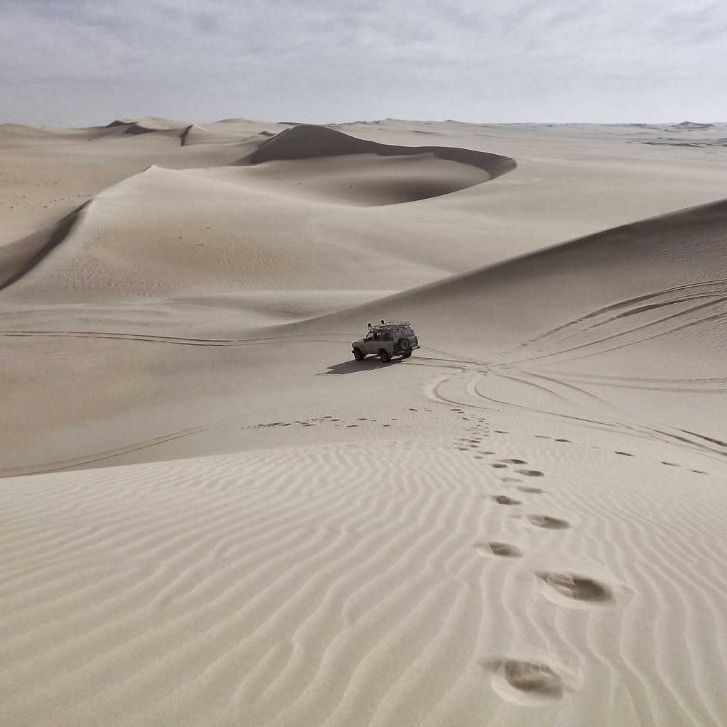 Barbecue - professional stock photography