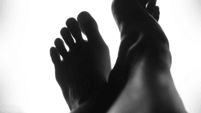 Barbecue - professional stock photography