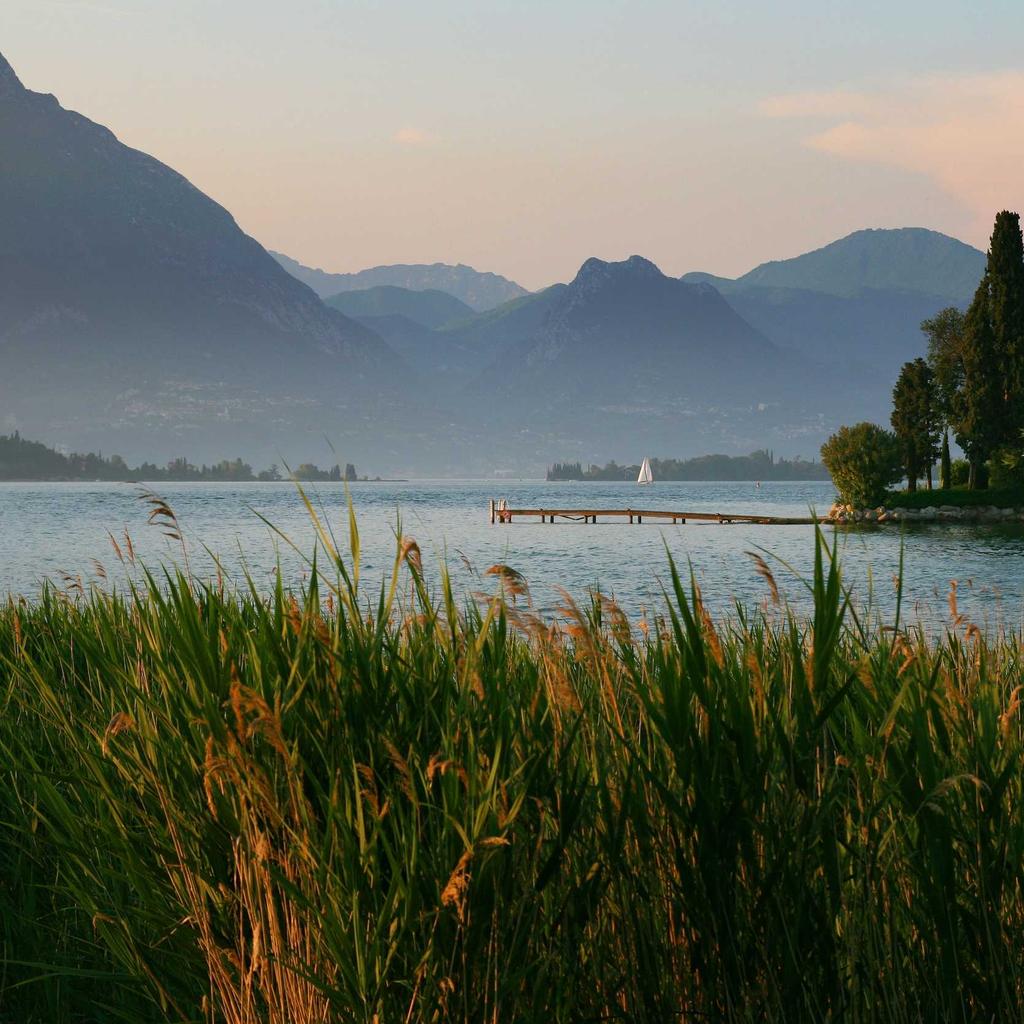 Bread - professional stock photography