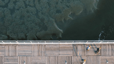 Bread - professional stock photography