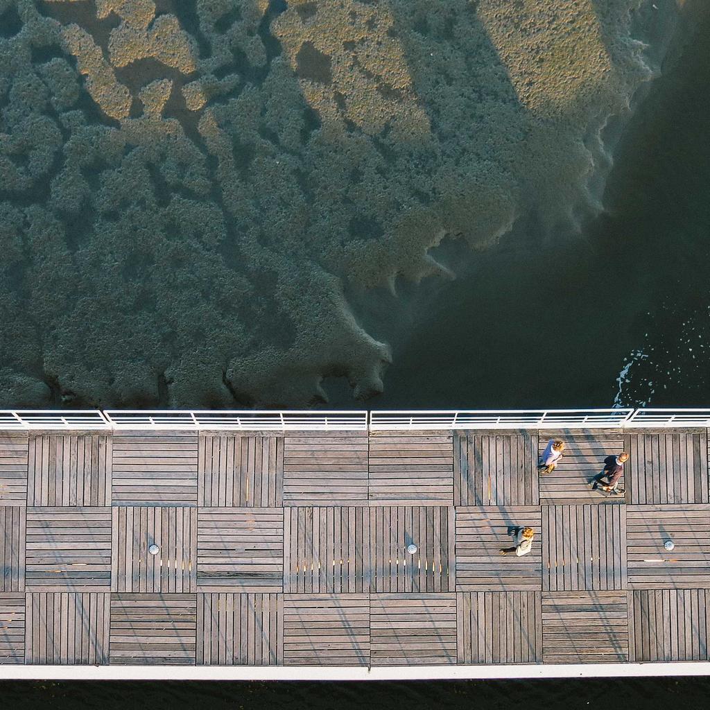 Bread - professional stock photography