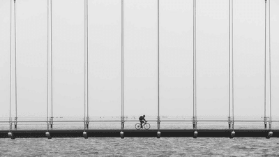 Cake - professional stock photography