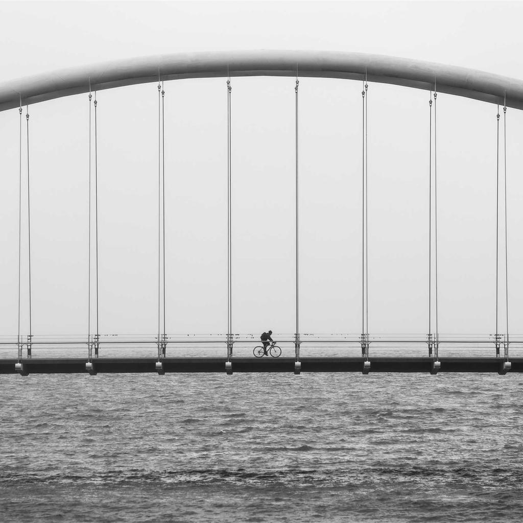 Cake - professional stock photography