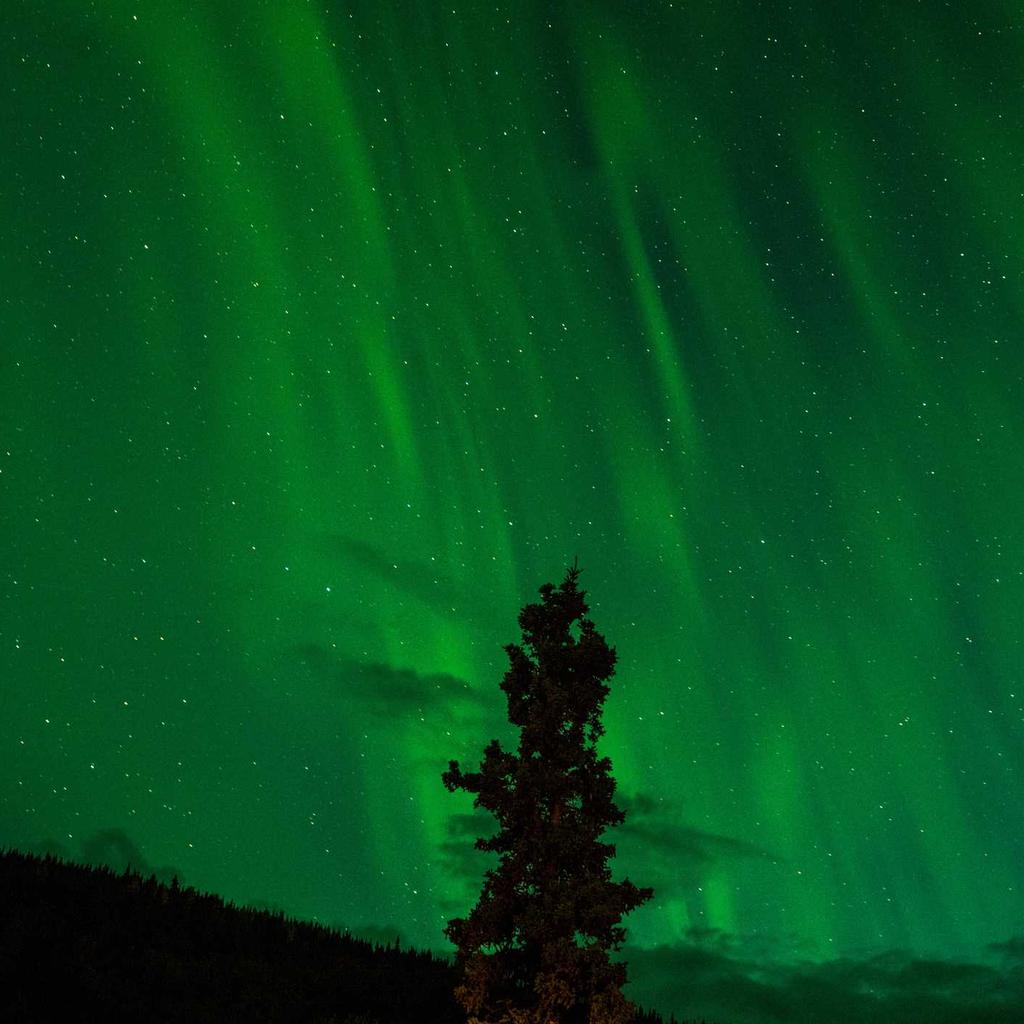 Cake - professional stock photography