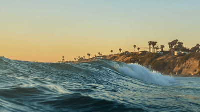 Cake - professional stock photography