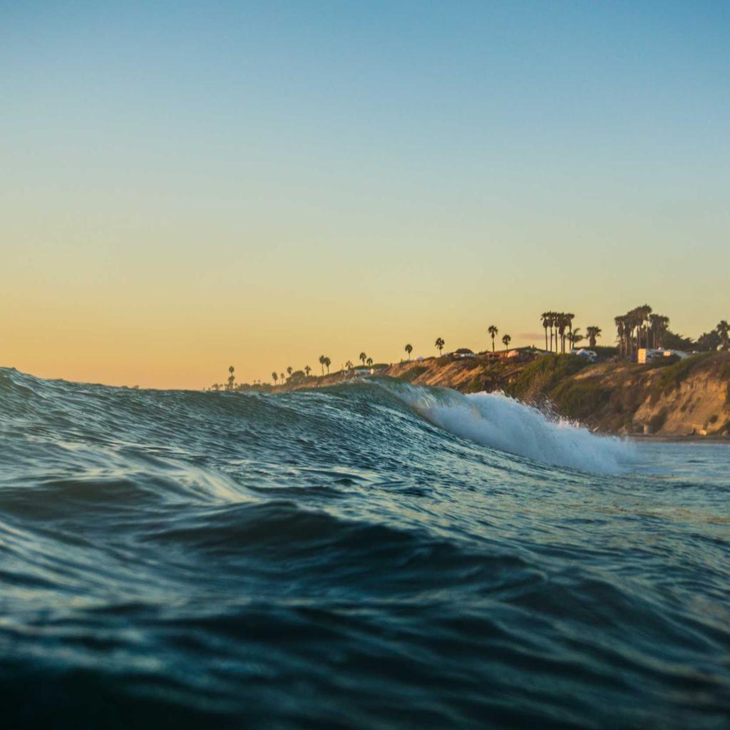 Cake - professional stock photography