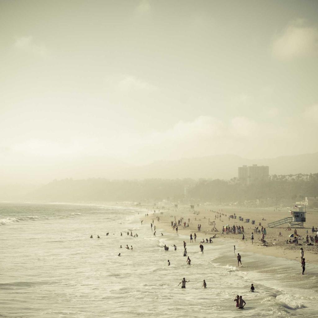 Cake - professional stock photography