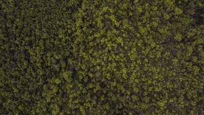 Dessert - professional stock photography