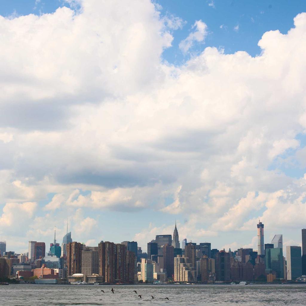 Dessert - professional stock photography