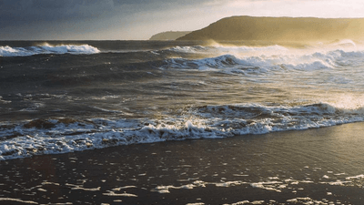 Grilling - professional stock photography