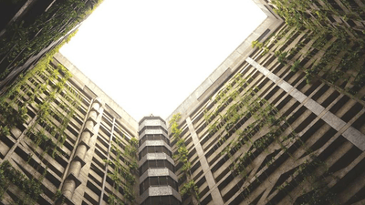 Herbs - professional stock photography