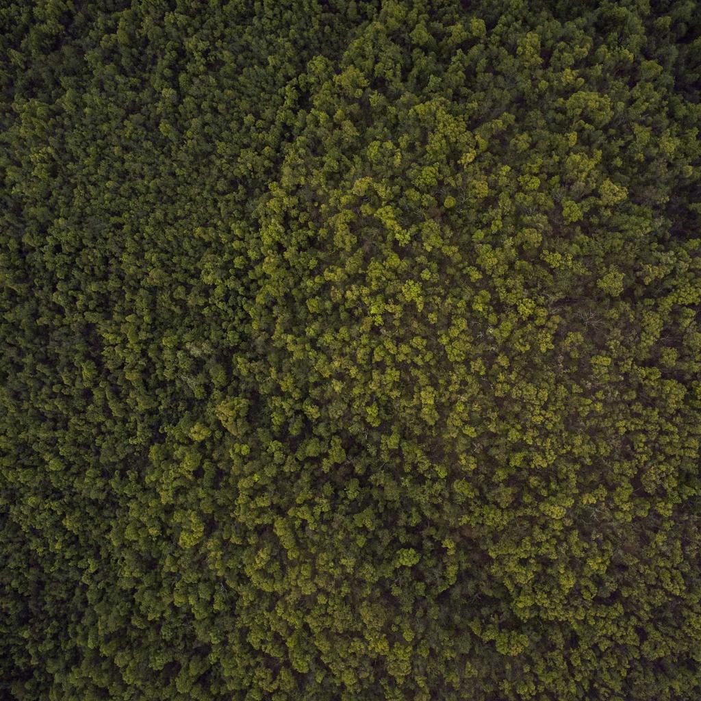 Kitchen - professional stock photography