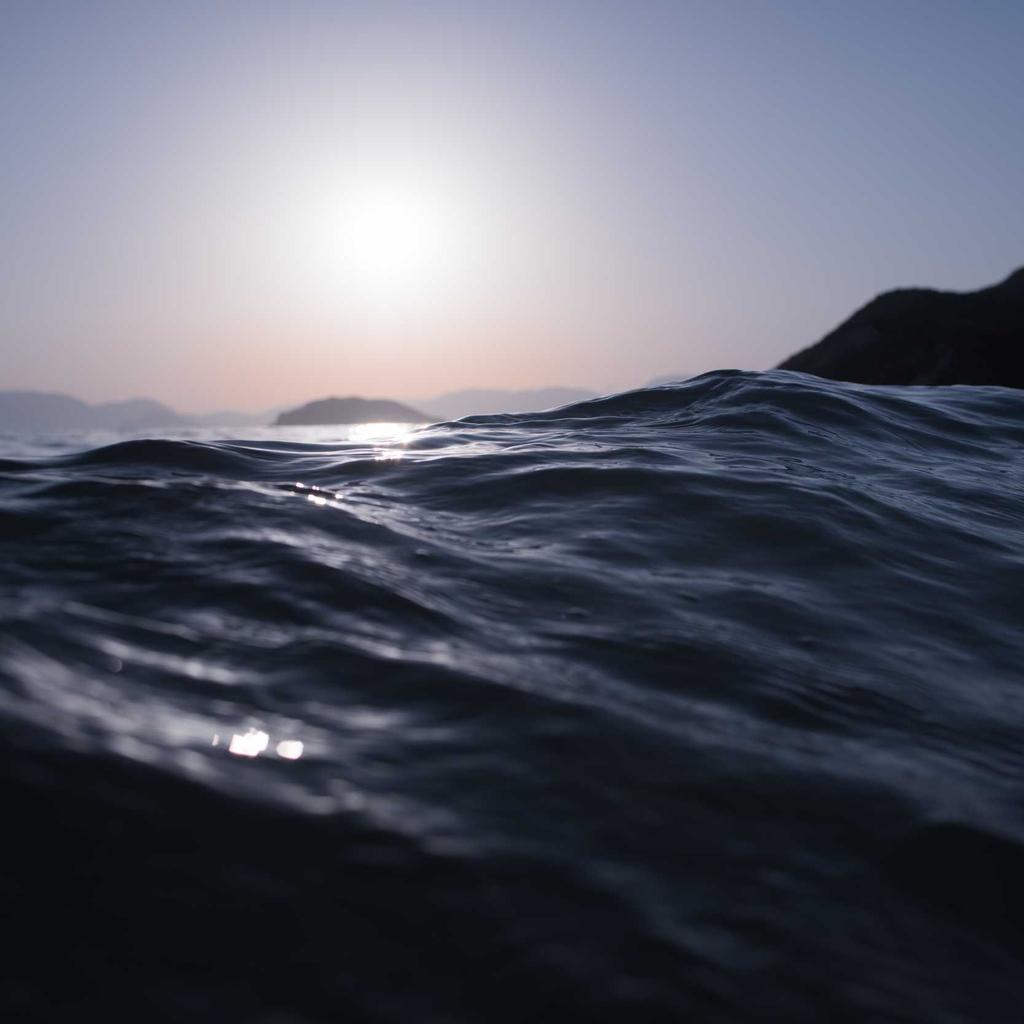 Kitchen - professional stock photography