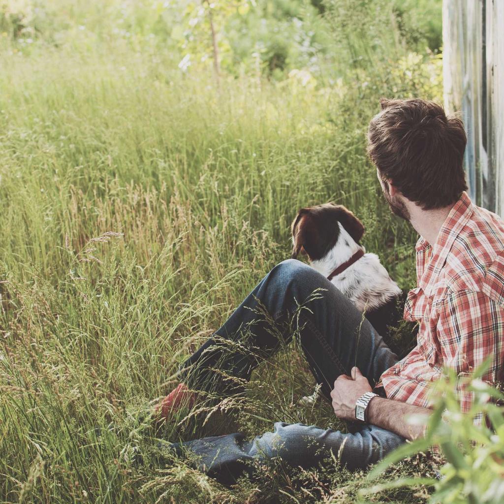 Kitchen - professional stock photography