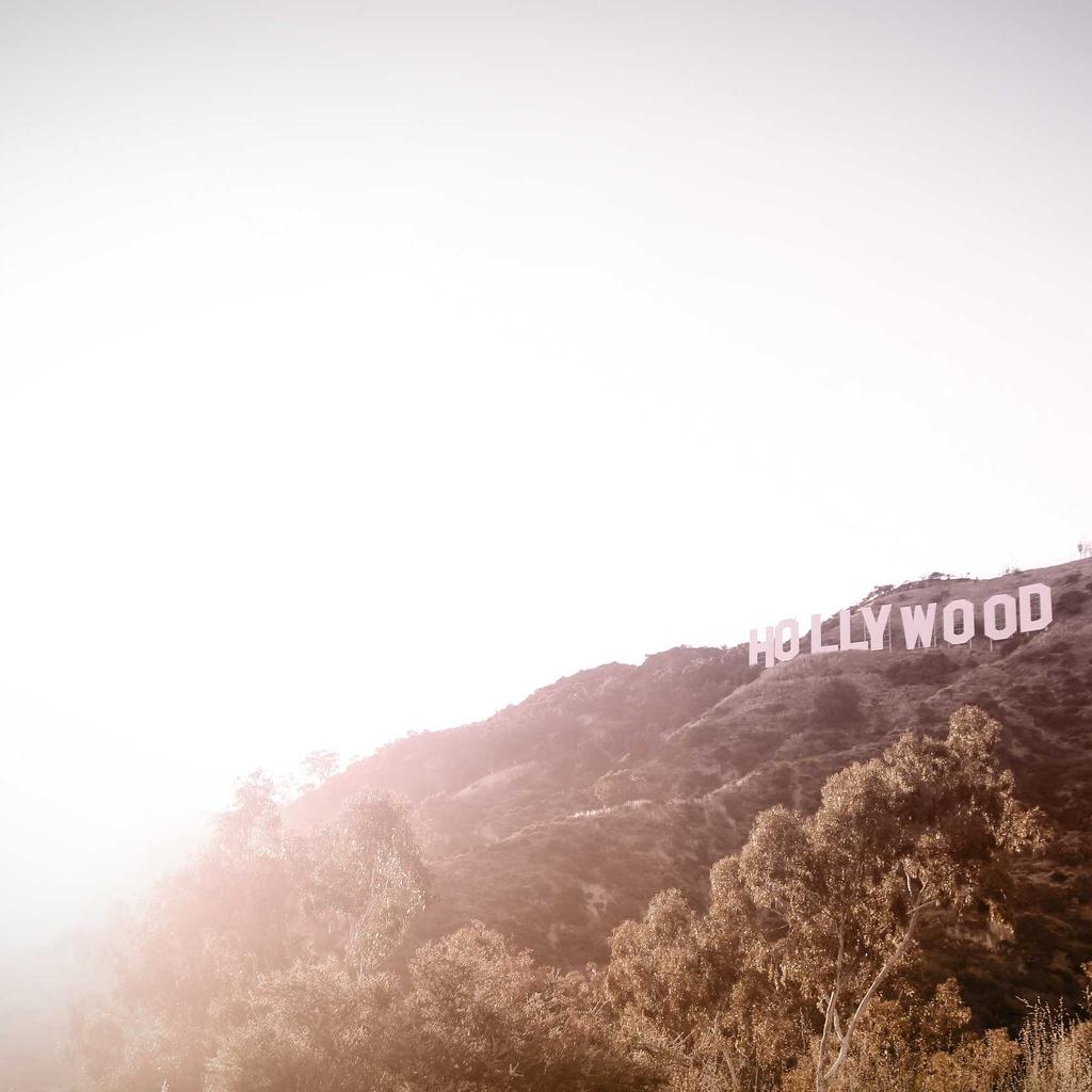 Pasta - professional stock photography