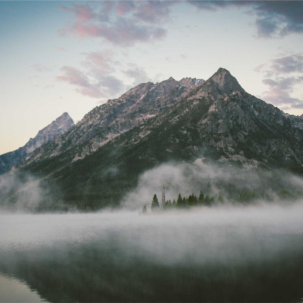 Pasta - professional stock photography