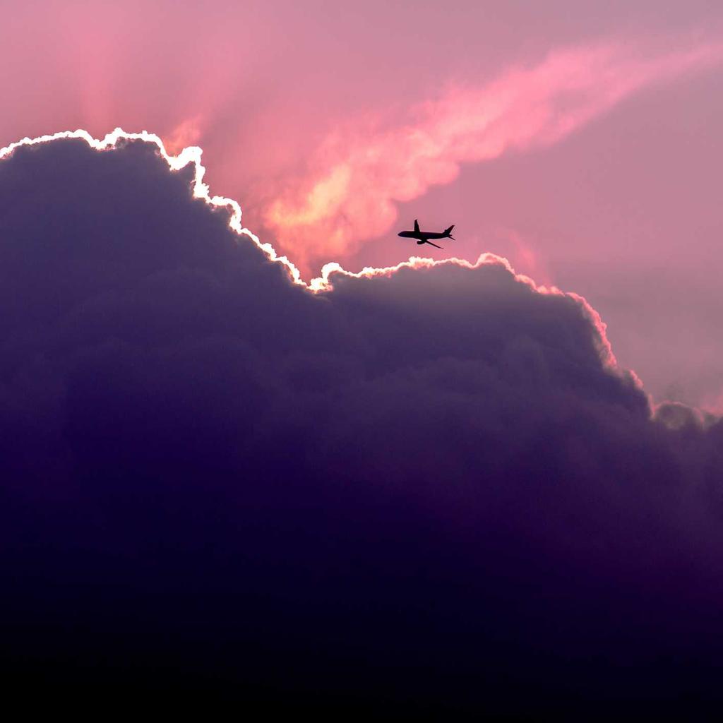 Pizza - professional stock photography