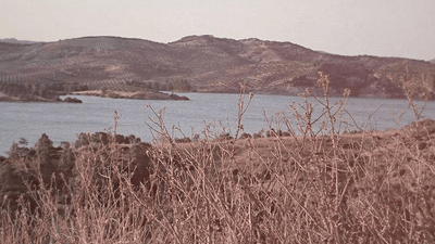 Pizza - professional stock photography