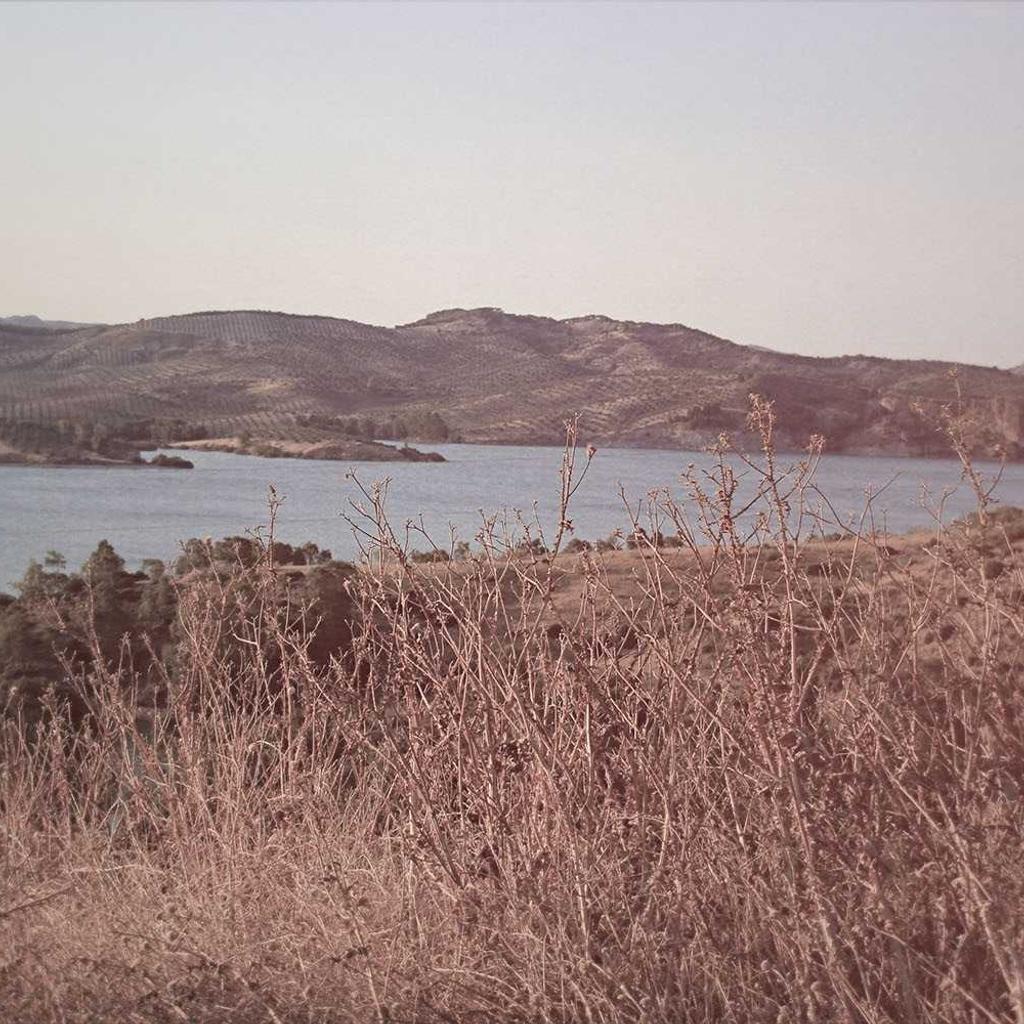 Pizza - professional stock photography