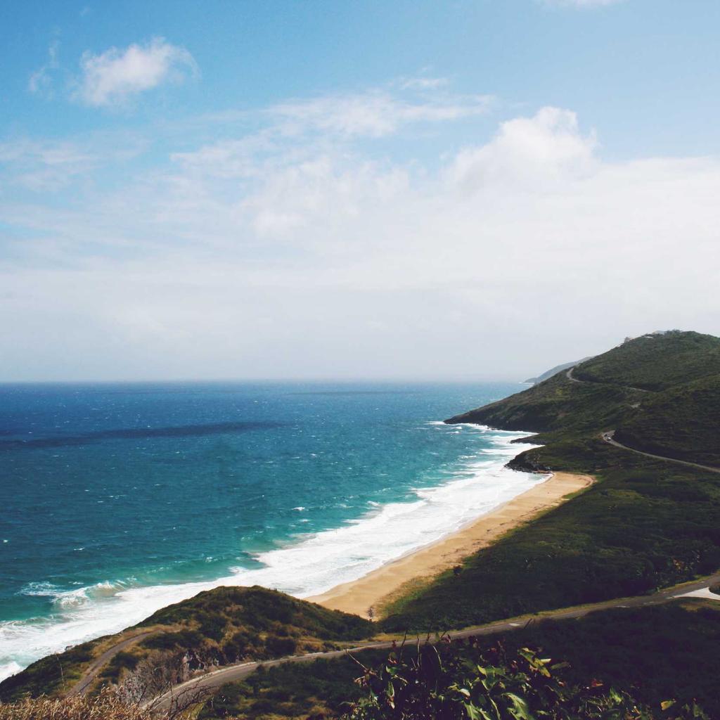 Pizza - professional stock photography
