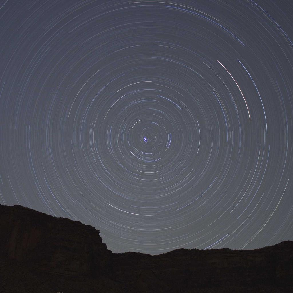 Pizza - professional stock photography