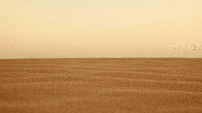 Salad - professional stock photography