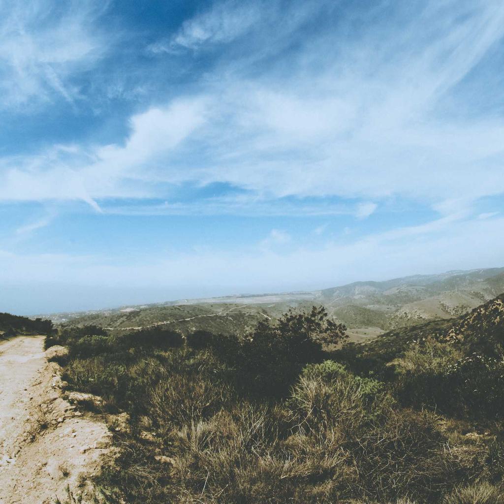 Salad - professional stock photography