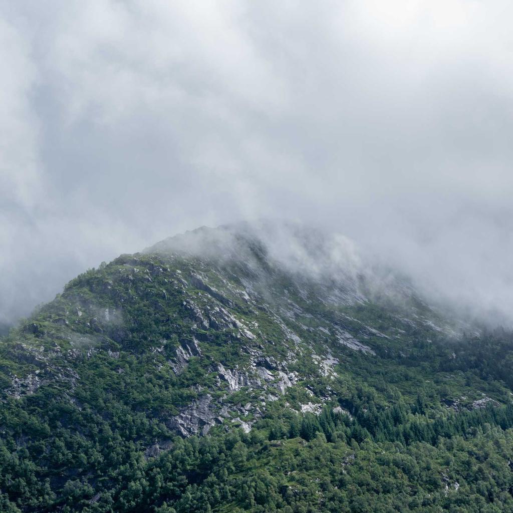 Salad - professional stock photography