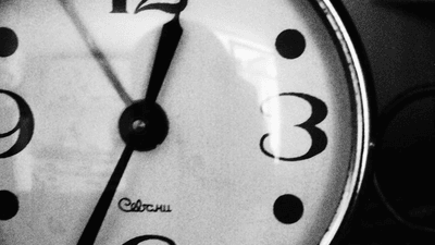 Seafood - professional stock photography