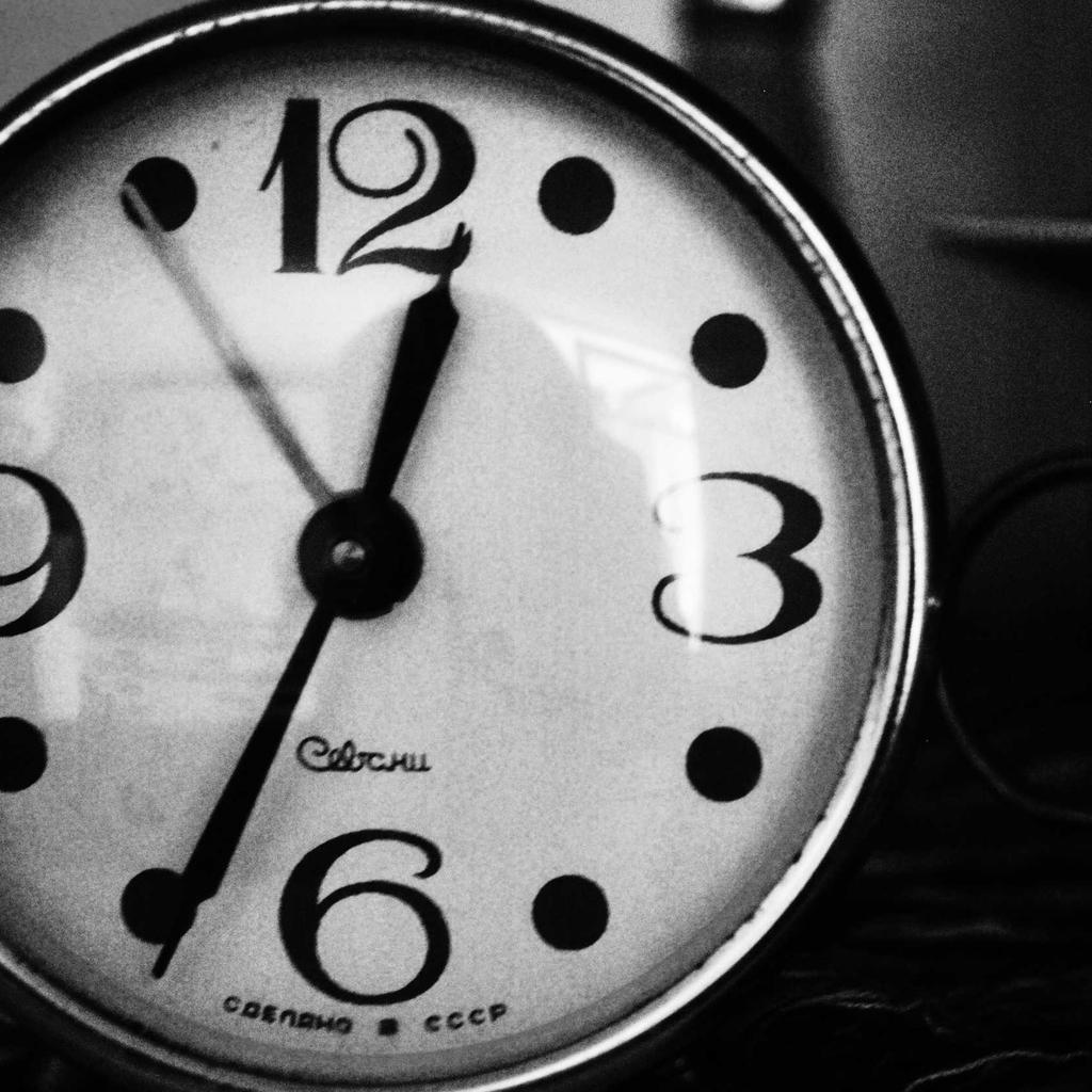 Seafood - professional stock photography