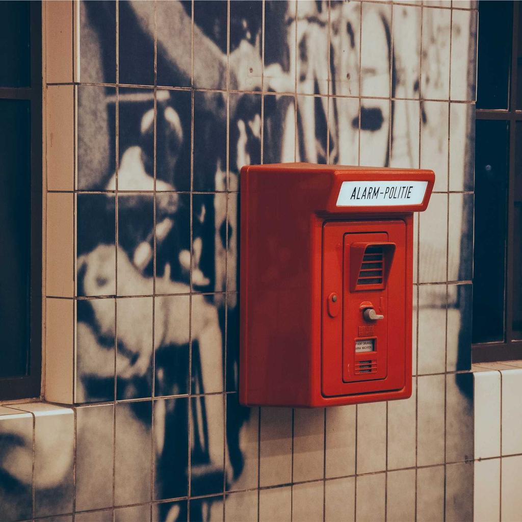 Seafood - professional stock photography