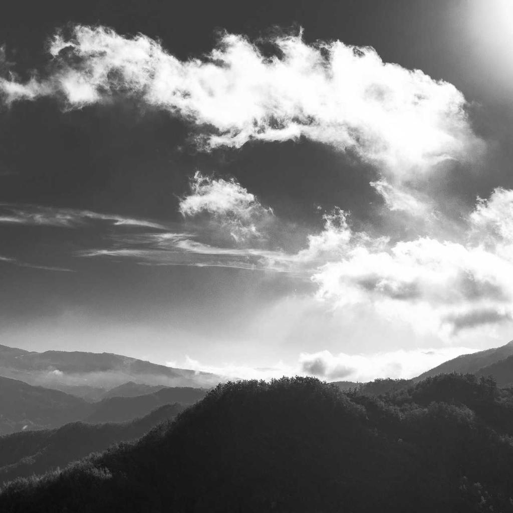 Smoothie - professional stock photography