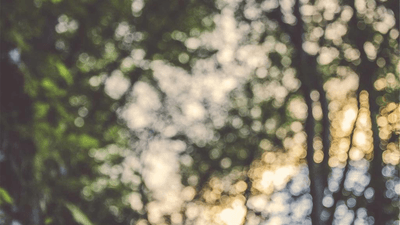 Soup - professional stock photography