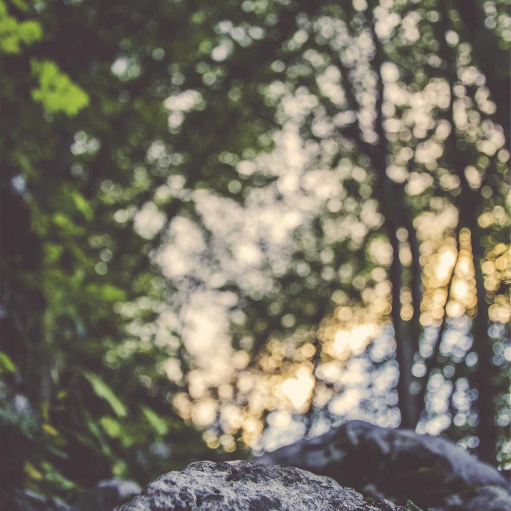 Soup - professional stock photography
