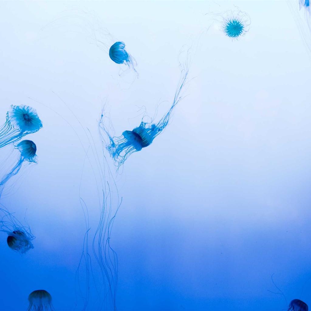 Spices - professional stock photography