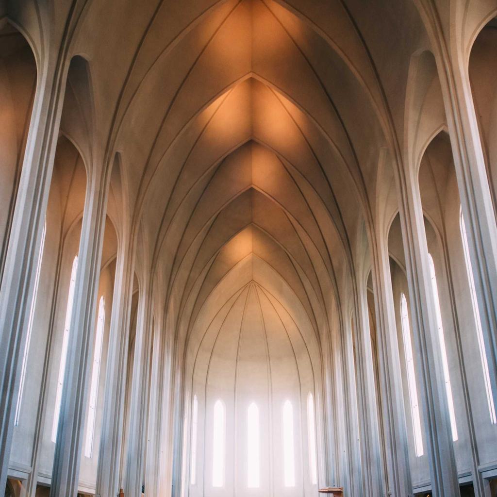 Spices - professional stock photography