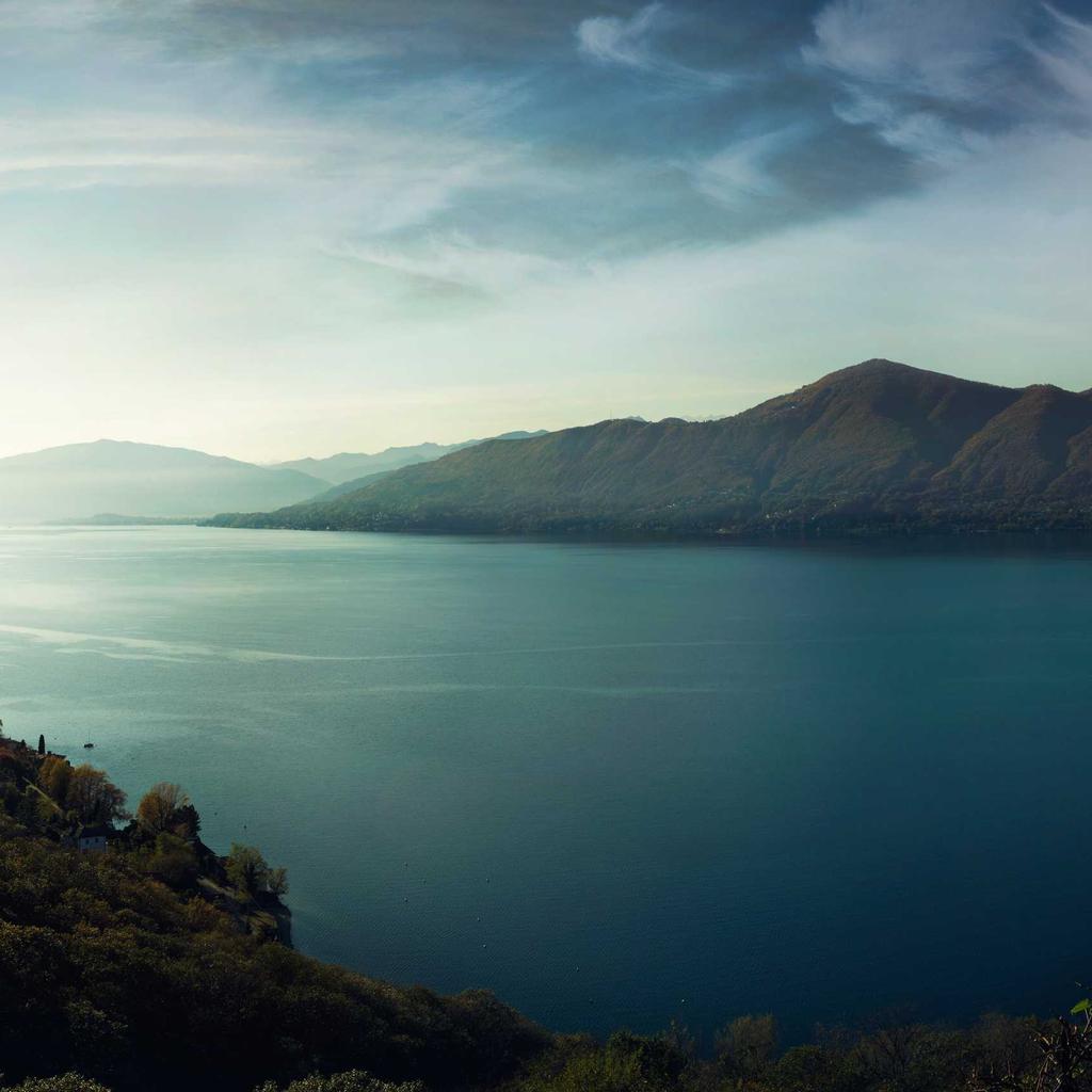 Spices - professional stock photography