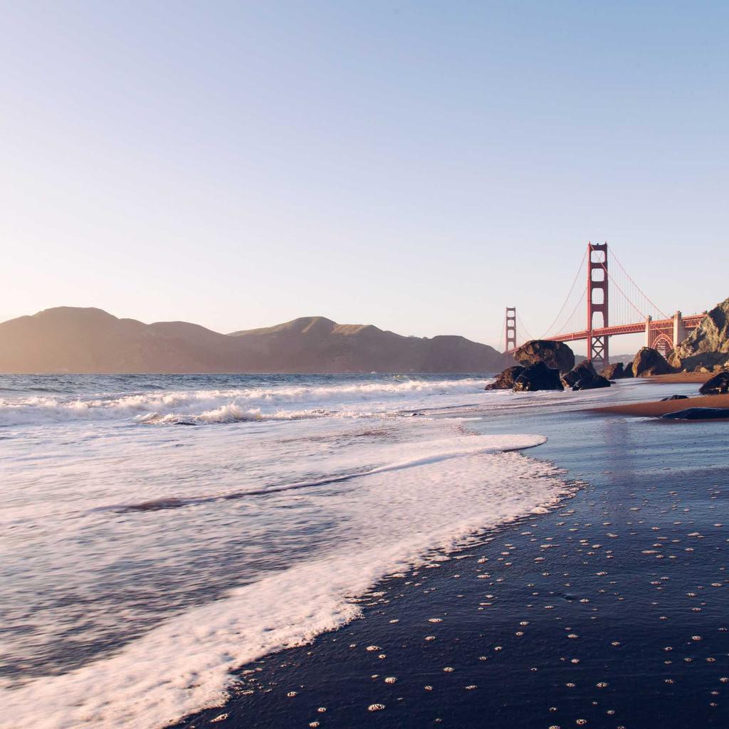Spices - professional stock photography