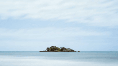 Steak - professional stock photography