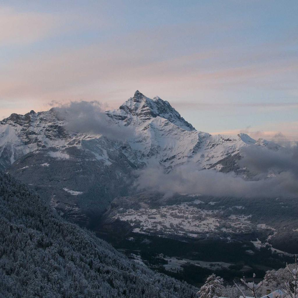 Sushi - professional stock photography