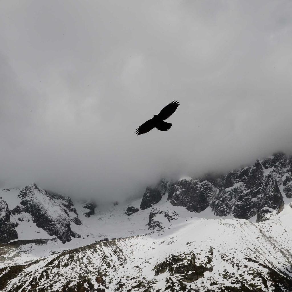 Vegetables - professional stock photography