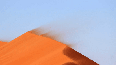 Vegetables - professional stock photography