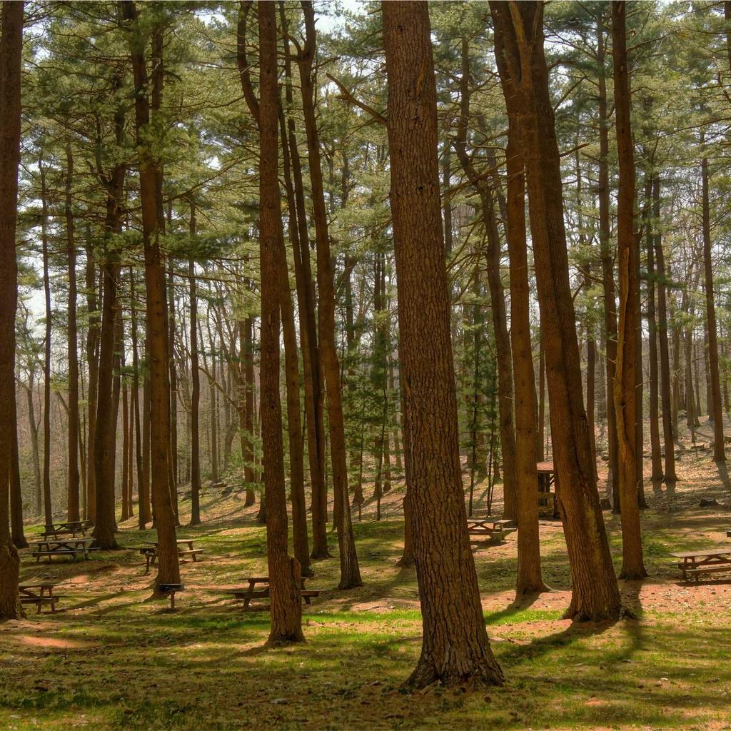 Wok - professional stock photography