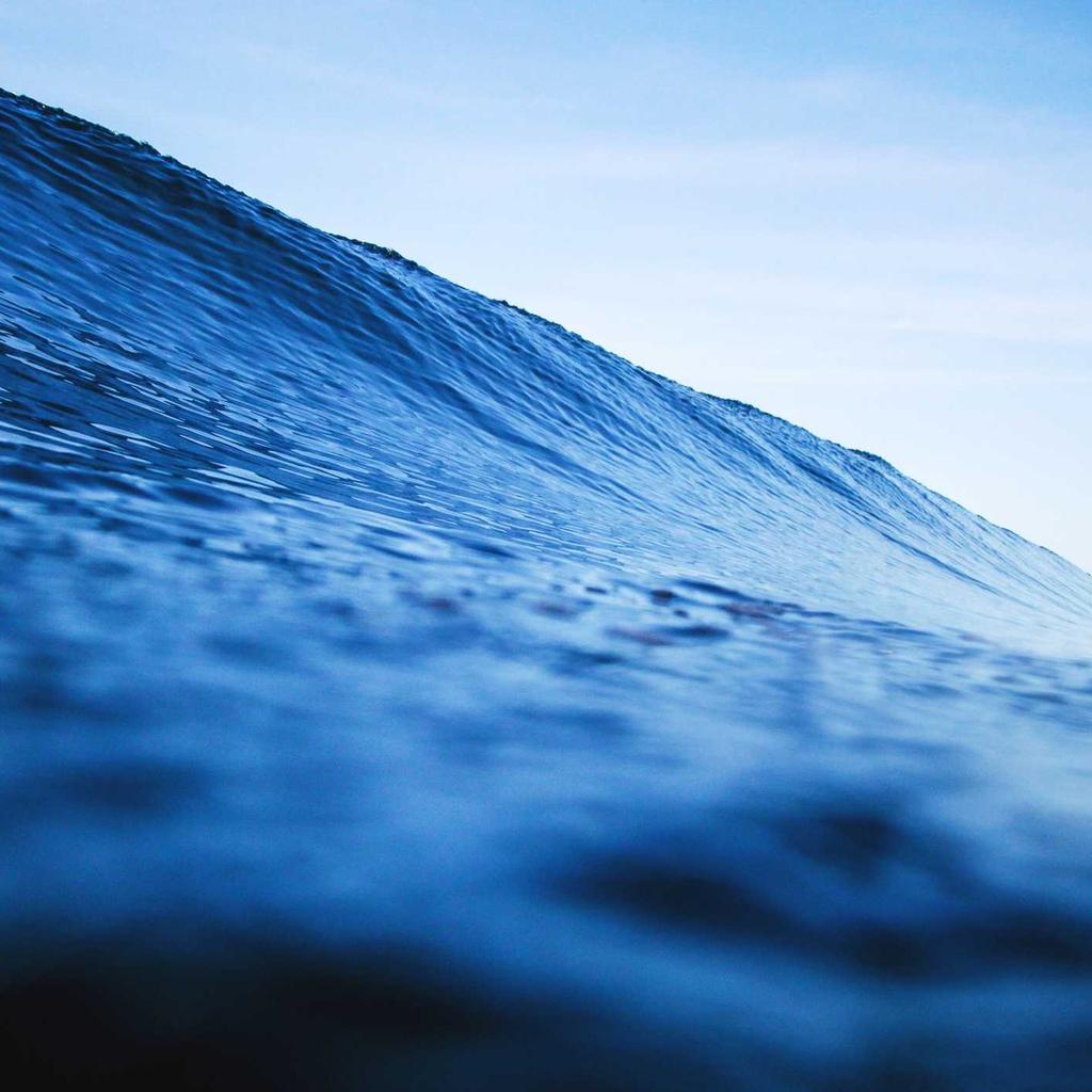 Wok - professional stock photography