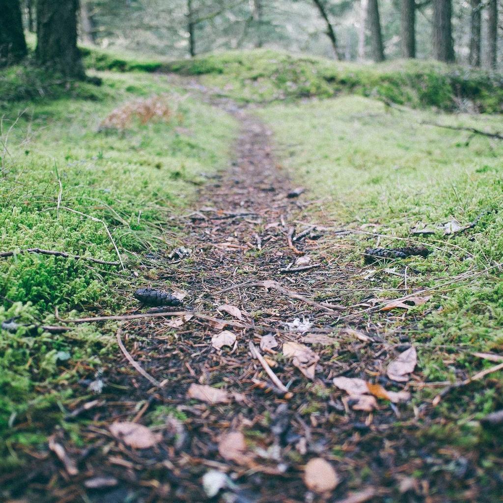 Wok - professional stock photography